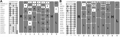 Translating the Arabidopsis thaliana Peroxisome Proteome Insights to Solanum lycopersicum: Consensus Versus Diversity